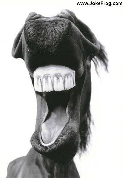 putin t trop con-humourenvrac